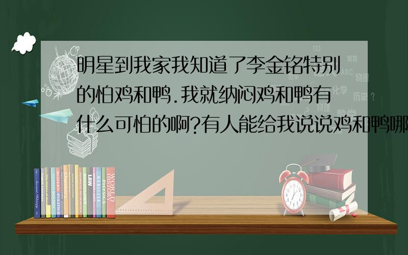 明星到我家我知道了李金铭特别的怕鸡和鸭.我就纳闷鸡和鸭有什么可怕的啊?有人能给我说说鸡和鸭哪怕了?