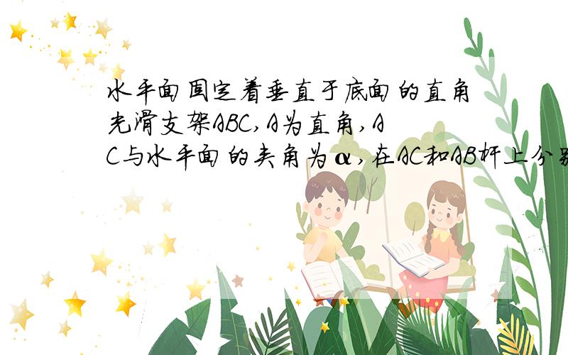 水平面固定着垂直于底面的直角光滑支架ABC,A为直角,AC与水平面的夹角为α,在AC和AB杆上分别套有质量为m1和m2的光滑圆环,两圆环有轻质细绳连接,已知细绳和BC杆平行,求圆环质量之比.