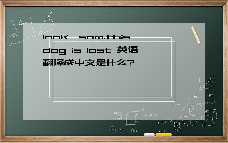 look,sam.this dog is lost 英语翻译成中文是什么?