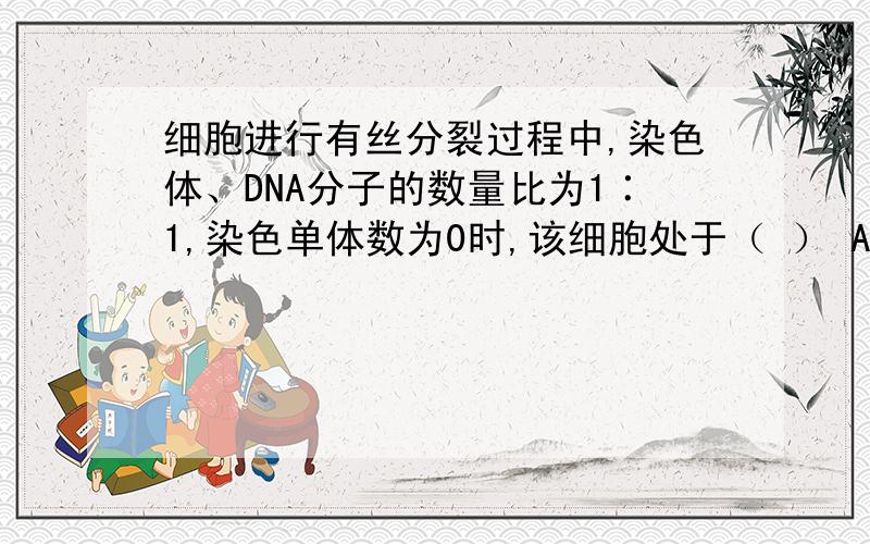 细胞进行有丝分裂过程中,染色体、DNA分子的数量比为1∶1,染色单体数为0时,该细胞处于（ ） A．中期或后