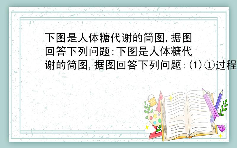 下图是人体糖代谢的简图,据图回答下列问题:下图是人体糖代谢的简图,据图回答下列问题:(1)①过程称为（） ;②过程称为（）.(2)③过程发生在肝脏或肌肉等组织细胞中,④过程多发生在（）(