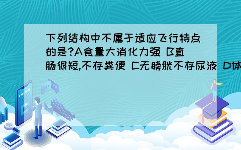 下列结构中不属于适应飞行特点的是?A食量大消化力强 B直肠很短,不存粪便 C无膀胱不存尿液 D体温恒定D体温恒定适应力强