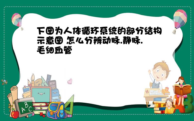 下图为人体循环系统的部分结构示意图 怎么分辨动脉.静脉.毛细血管