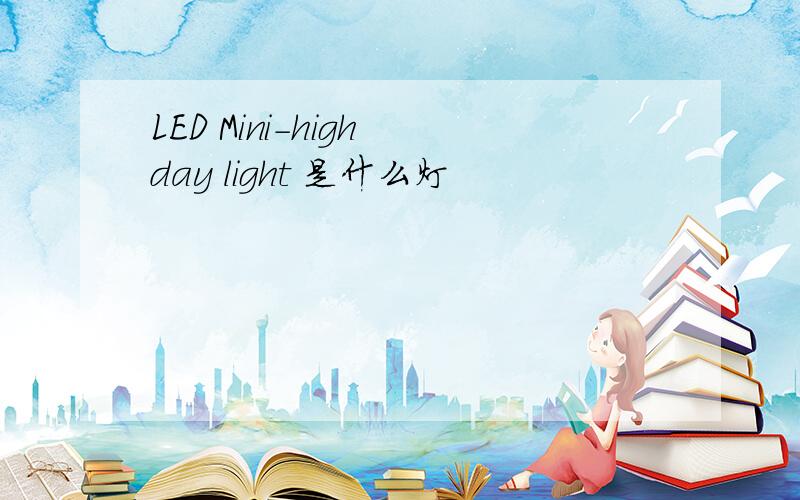 LED Mini-high day light 是什么灯