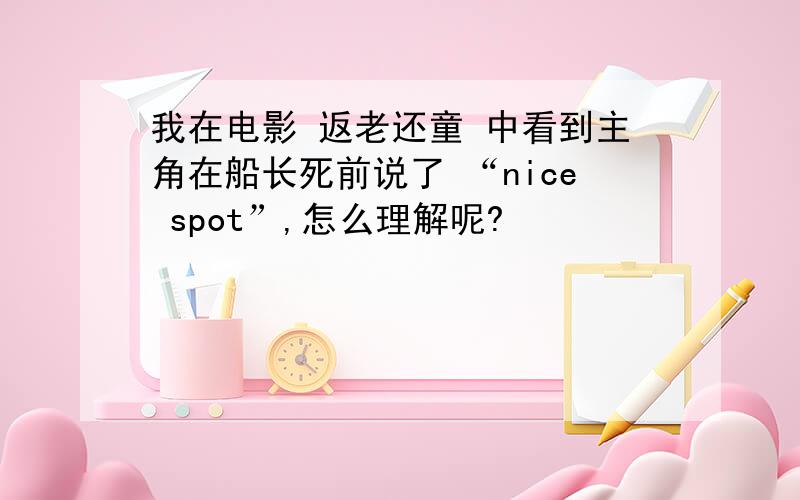 我在电影 返老还童 中看到主角在船长死前说了 “nice spot”,怎么理解呢?