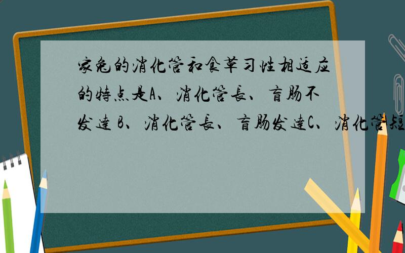 家兔的消化管和食草习性相适应的特点是A、消化管长、盲肠不发达 B、消化管长、盲肠发达C、消化管短、盲肠不发达 D、消化管短、盲肠发达