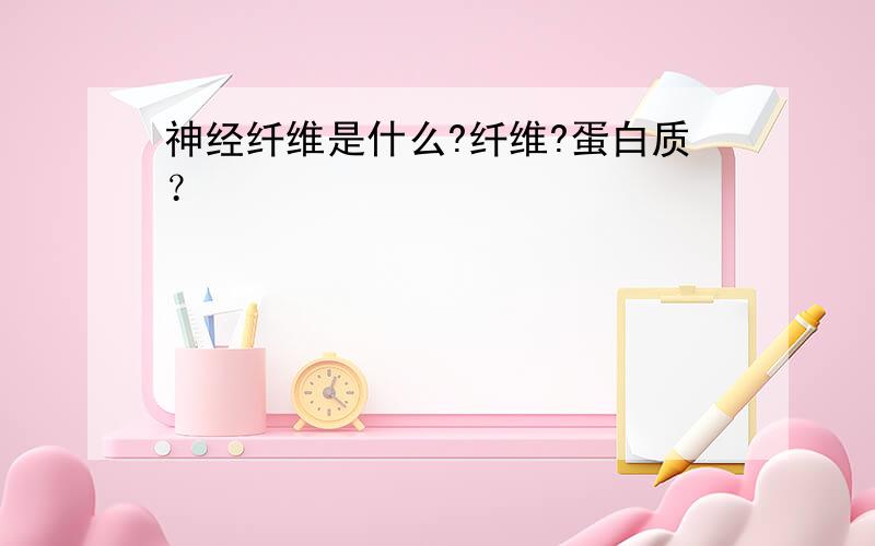 神经纤维是什么?纤维?蛋白质？