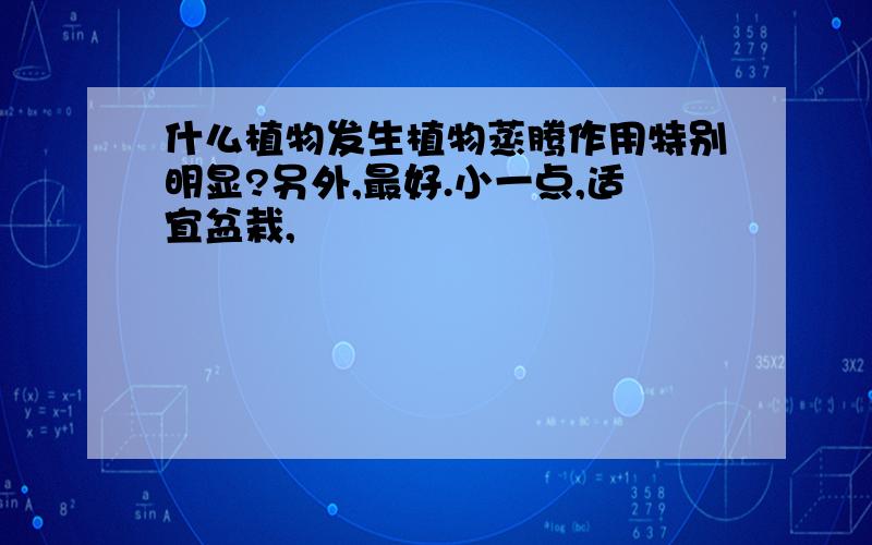 什么植物发生植物蒸腾作用特别明显?另外,最好.小一点,适宜盆栽,