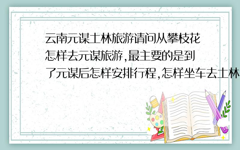 云南元谋土林旅游请问从攀枝花怎样去元谋旅游,最主要的是到了元谋后怎样安排行程,怎样坐车去土林,那边的住宿、餐饮等.另外就是元谋好像有物茂和浪巴浦土林,两者之间远嘛,怎样转车?