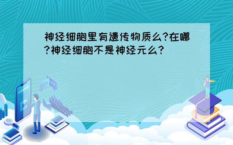 神经细胞里有遗传物质么?在哪?神经细胞不是神经元么?