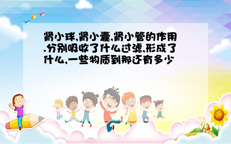 肾小球,肾小囊,肾小管的作用.分别吸收了什么过滤,形成了什么,一些物质到那还有多少