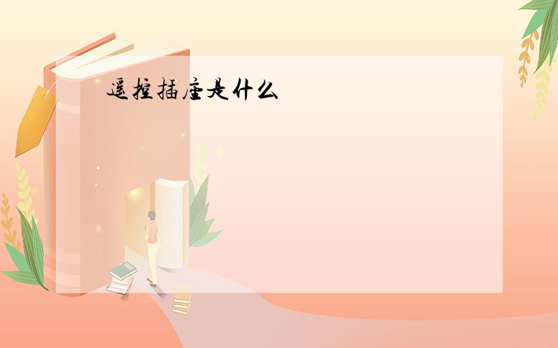 遥控插座是什么