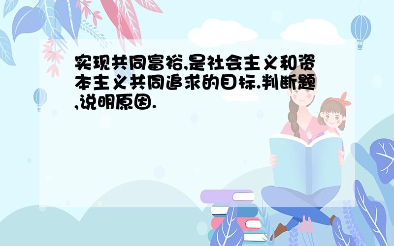 实现共同富裕,是社会主义和资本主义共同追求的目标.判断题,说明原因.