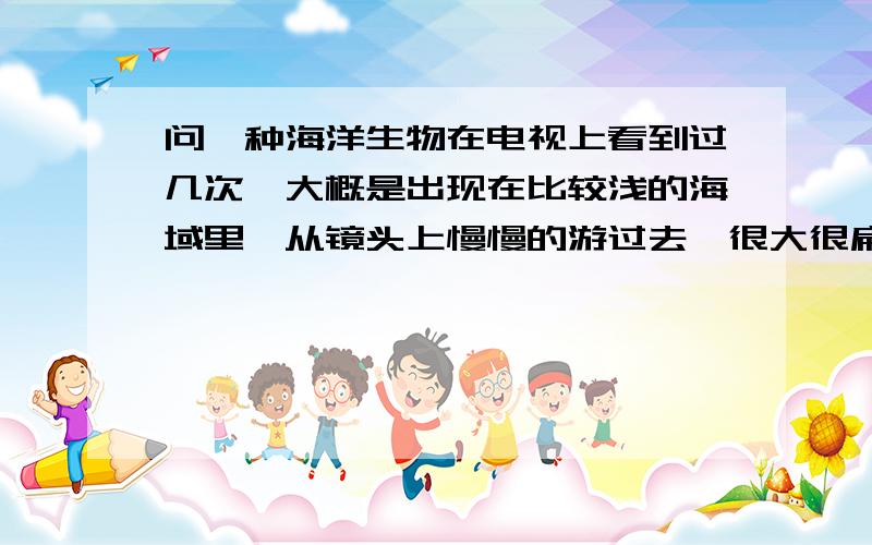 问一种海洋生物在电视上看到过几次,大概是出现在比较浅的海域里,从镜头上慢慢的游过去,很大很扁平的.有人知道它叫什么吗?