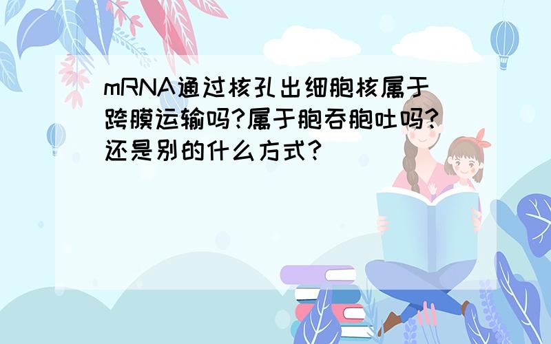 mRNA通过核孔出细胞核属于跨膜运输吗?属于胞吞胞吐吗?还是别的什么方式?