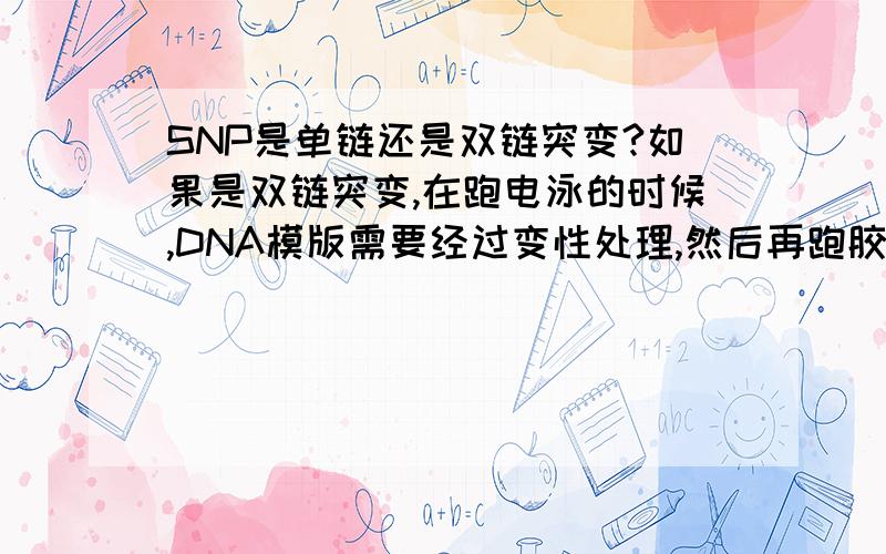 SNP是单链还是双链突变?如果是双链突变,在跑电泳的时候,DNA模版需要经过变性处理,然后再跑胶吗?