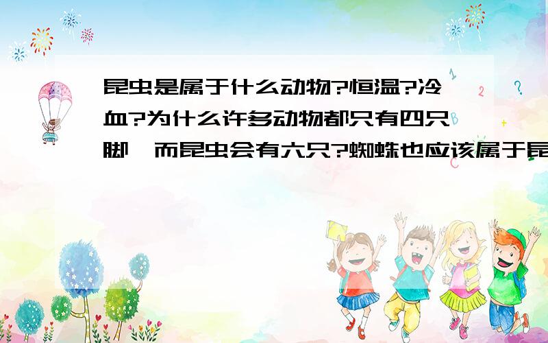 昆虫是属于什么动物?恒温?冷血?为什么许多动物都只有四只脚,而昆虫会有六只?蜘蛛也应该属于昆虫的吧？怎么它不是六只脚，而是八只脚？