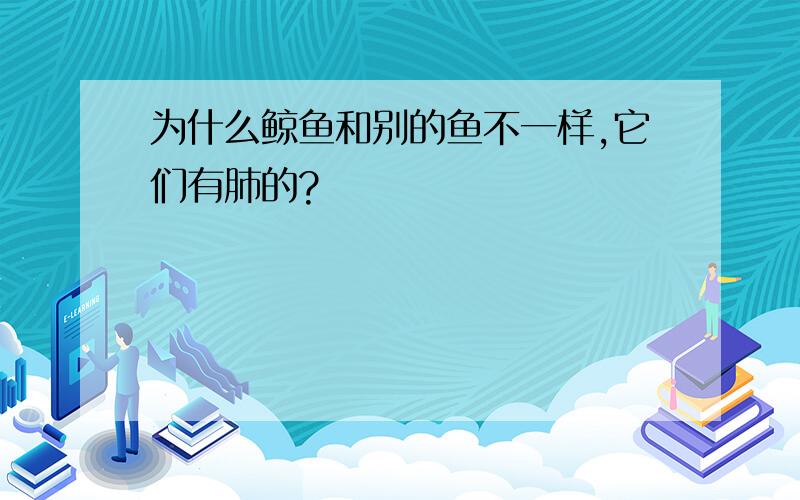 为什么鲸鱼和别的鱼不一样,它们有肺的?