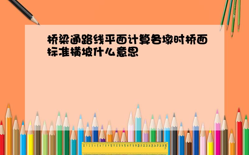 桥梁通路线平面计算各墩时桥面标准横坡什么意思