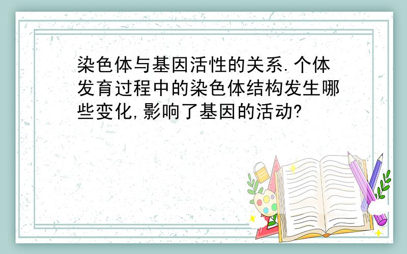 染色体与基因活性的关系.个体发育过程中的染色体结构发生哪些变化,影响了基因的活动?