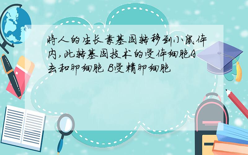 将人的生长素基因转移到小鼠体内,此转基因技术的受体细胞A去和卵细胞 B受精卵细胞