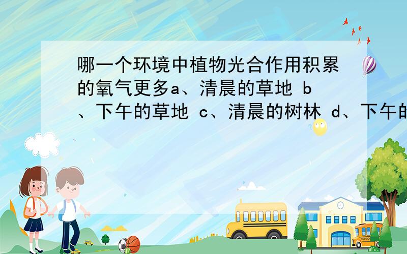 哪一个环境中植物光合作用积累的氧气更多a、清晨的草地 b、下午的草地 c、清晨的树林 d、下午的树林