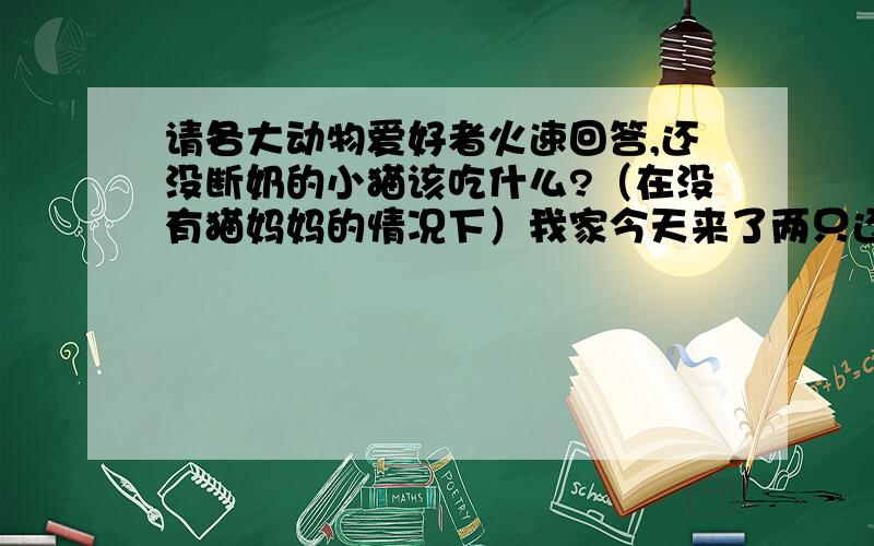 请各大动物爱好者火速回答,还没断奶的小猫该吃什么?（在没有猫妈妈的情况下）我家今天来了两只还没断奶的小猫,看样子是被猫妈妈遗弃的.我为他们水,香肠,都不吃,现在饿得喵喵叫,好可