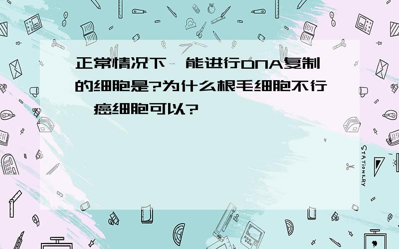 正常情况下,能进行DNA复制的细胞是?为什么根毛细胞不行,癌细胞可以?