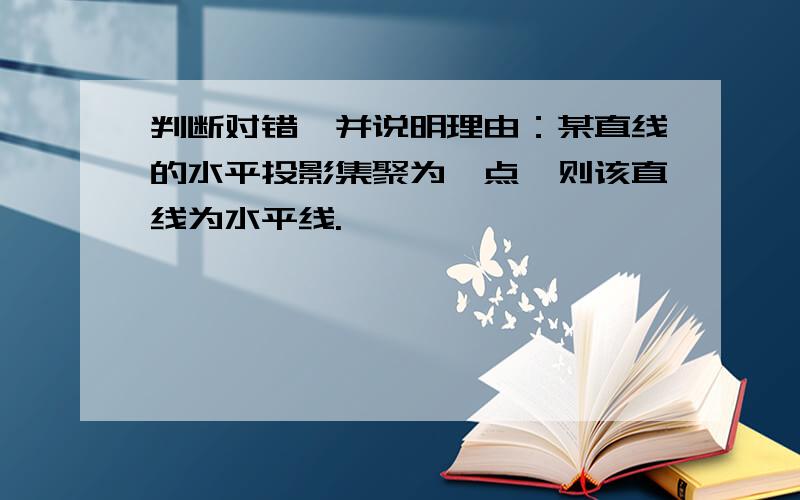 判断对错,并说明理由：某直线的水平投影集聚为一点,则该直线为水平线.