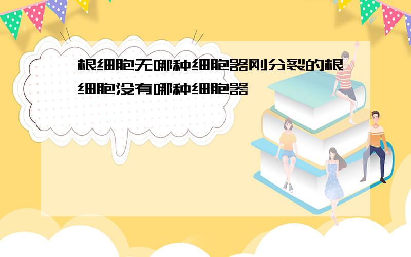 根细胞无哪种细胞器刚分裂的根细胞没有哪种细胞器