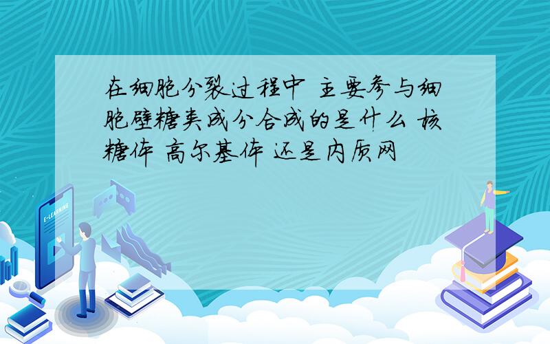 在细胞分裂过程中 主要参与细胞壁糖类成分合成的是什么 核糖体 高尔基体 还是内质网