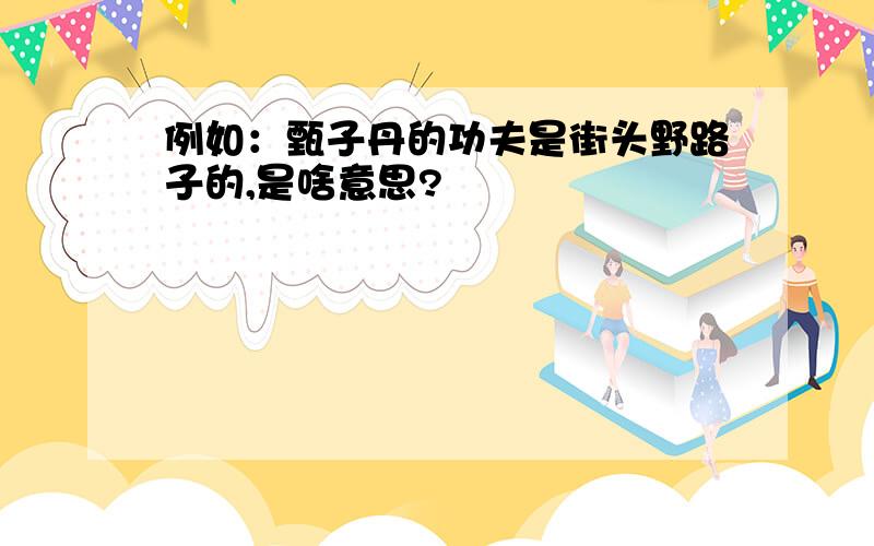 例如：甄子丹的功夫是街头野路子的,是啥意思?