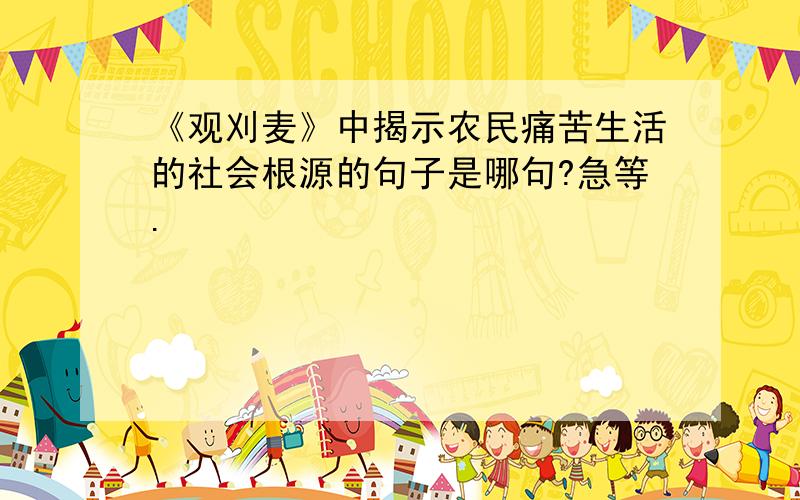 《观刈麦》中揭示农民痛苦生活的社会根源的句子是哪句?急等.