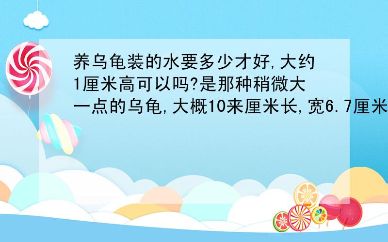 养乌龟装的水要多少才好,大约1厘米高可以吗?是那种稍微大一点的乌龟,大概10来厘米长,宽6.7厘米.