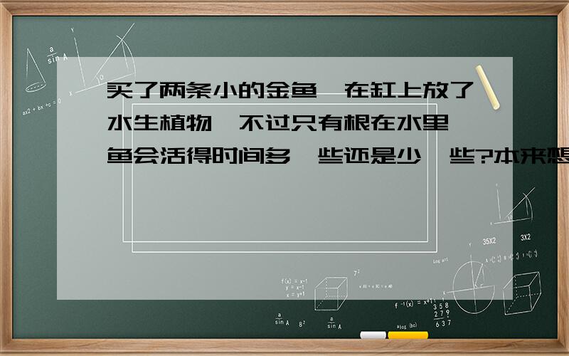 买了两条小的金鱼,在缸上放了水生植物、不过只有根在水里,鱼会活得时间多一些还是少一些?本来想要放什么叶子在水里的那种植物,但是卖的人说放这种根在水里的也行.如果不能养的时间