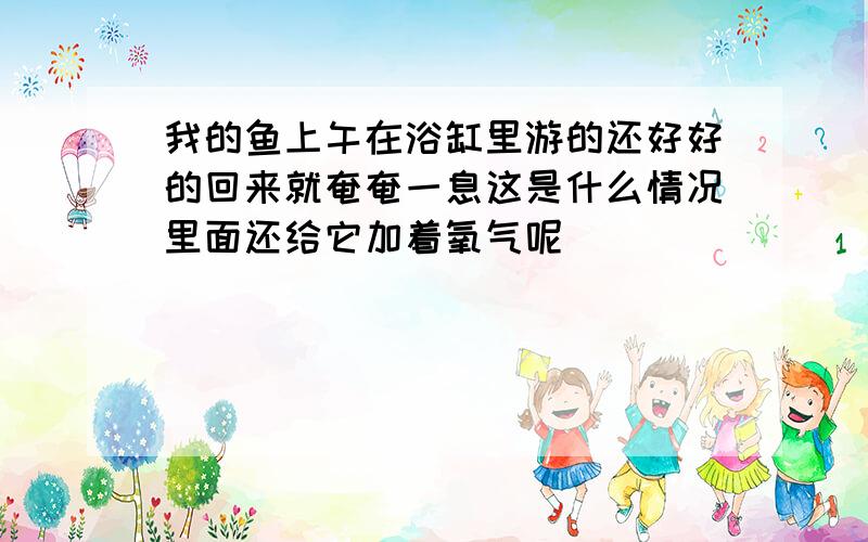 我的鱼上午在浴缸里游的还好好的回来就奄奄一息这是什么情况里面还给它加着氧气呢