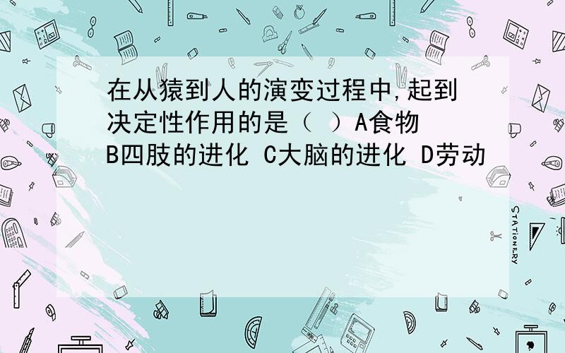 在从猿到人的演变过程中,起到决定性作用的是（ ）A食物 B四肢的进化 C大脑的进化 D劳动