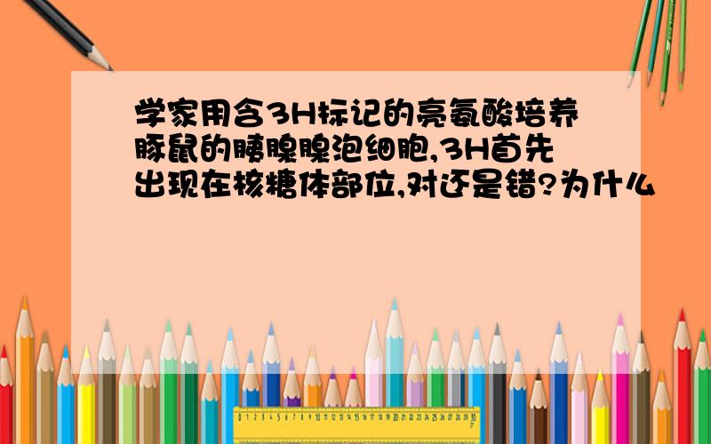 学家用含3H标记的亮氨酸培养豚鼠的胰腺腺泡细胞,3H首先出现在核糖体部位,对还是错?为什么