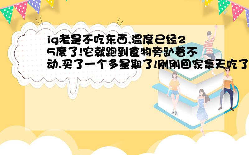 ig老是不吃东西,温度已经25度了!它就跑到食物旁趴着不动.买了一个多星期了!刚刚回家拿天吃了两片菜后就没再吃过了!阳光够了,湿度有了!就是不吃!救救我的IG吧!不回答也别说风凉话啊!我只