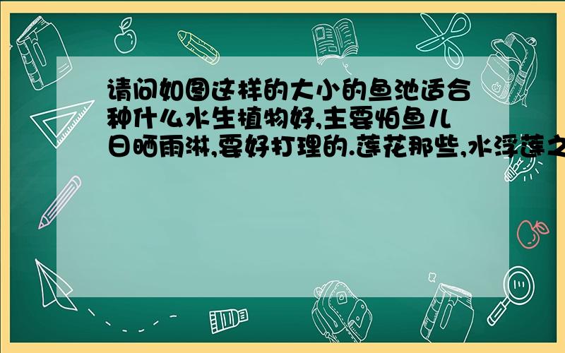 请问如图这样的大小的鱼池适合种什么水生植物好,主要怕鱼儿日晒雨淋,要好打理的.莲花那些,水浮莲之类的,好吗,但多少适合水浮莲会衍生出寄生虫?但现在网上的莲花好像都是种子,想买成