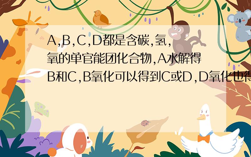 A,B,C,D都是含碳,氢,氧的单官能团化合物,A水解得B和C,B氧化可以得到C或D,D氧化也得到C.若M(X)表示X的摩尔质量,则下式正确的是( )A.M(A)=M(B)+M(C)B.2M(D)=M(B)=M(C)C.M(B)<M(D)<M(C)D.M(D)<M(B)<M(C)