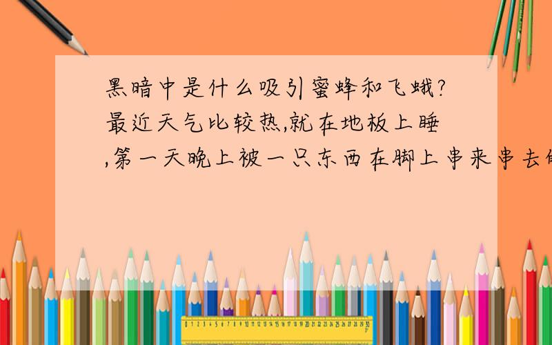 黑暗中是什么吸引蜜蜂和飞蛾?最近天气比较热,就在地板上睡,第一天晚上被一只东西在脚上串来串去的痒醒了,本以为是蟑螂,打死后第二天早上才发现是蜜蜂.第二天晚上刚刚躺下就被一只飞