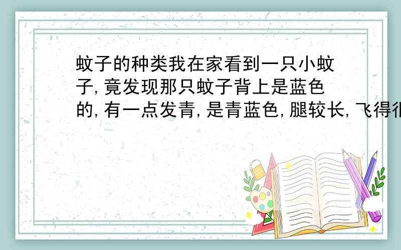 蚊子的种类我在家看到一只小蚊子,竟发现那只蚊子背上是蓝色的,有一点发青,是青蓝色,腿较长,飞得很快,请问是什么蚊子?