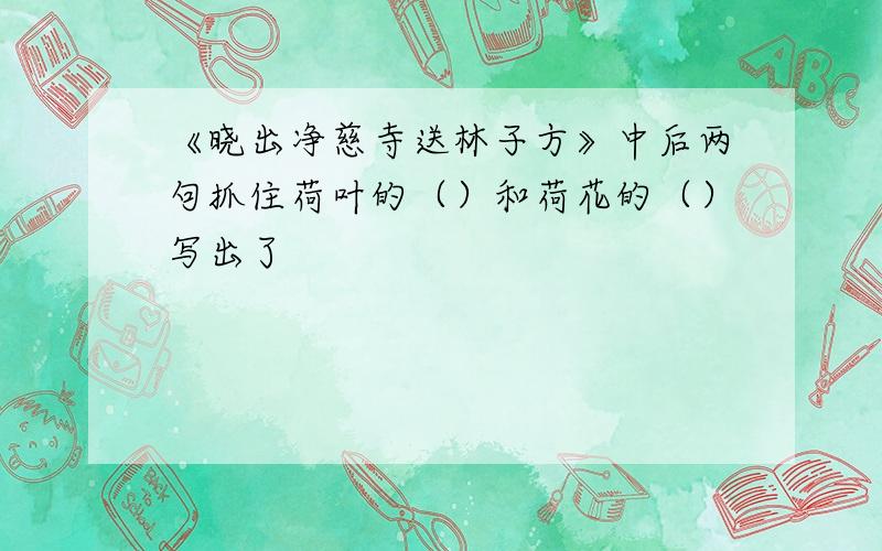 《晓出净慈寺送林子方》中后两句抓住荷叶的（）和荷花的（）写出了