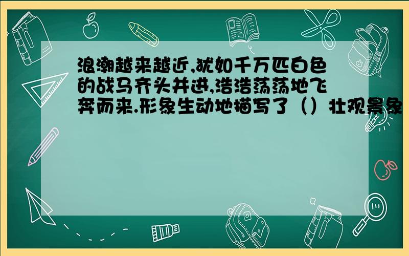 浪潮越来越近,犹如千万匹白色的战马齐头并进,浩浩荡荡地飞奔而来.形象生动地描写了（）壮观景象