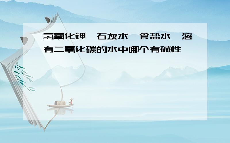 氢氧化钾、石灰水、食盐水、溶有二氧化碳的水中哪个有碱性