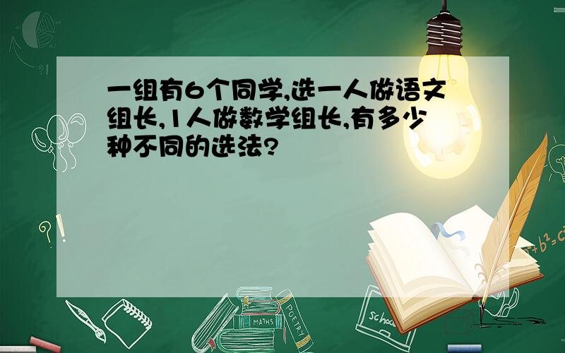 一组有6个同学,选一人做语文组长,1人做数学组长,有多少种不同的选法?