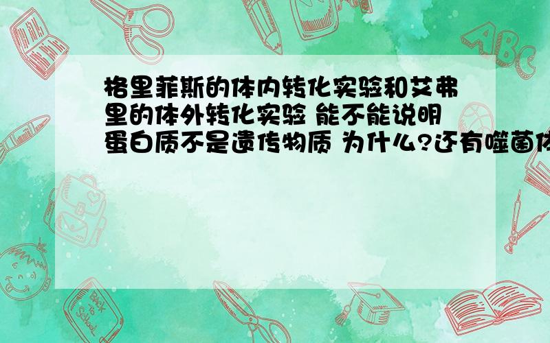 格里菲斯的体内转化实验和艾弗里的体外转化实验 能不能说明蛋白质不是遗传物质 为什么?还有噬菌体实验能不能证明蛋白质不是遗传物质