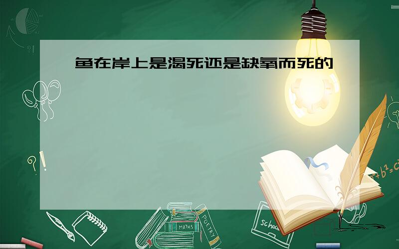 鱼在岸上是渴死还是缺氧而死的