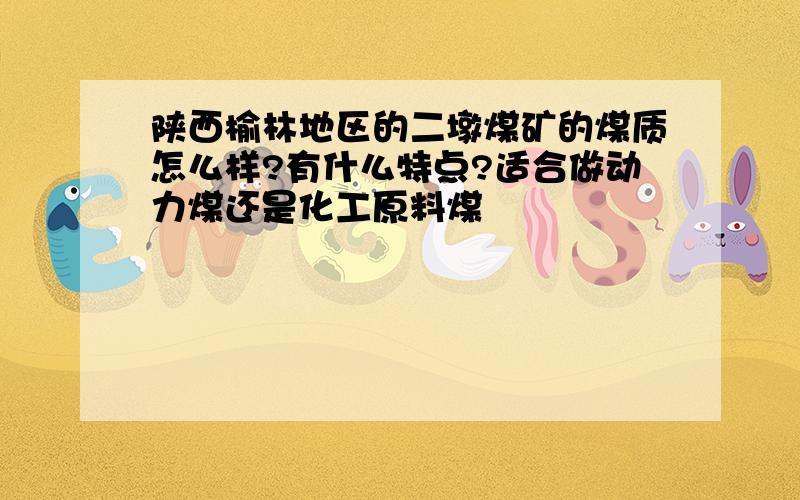 陕西榆林地区的二墩煤矿的煤质怎么样?有什么特点?适合做动力煤还是化工原料煤